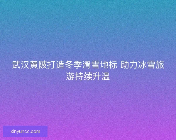 武汉黄陂打造冬季滑雪地标 助力冰雪旅游持续升温