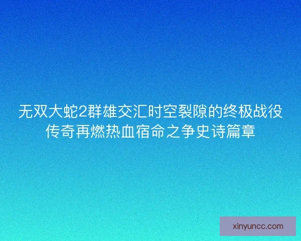 无双大蛇2群雄交汇时空裂隙的终极战役传奇再燃热血宿命之争史诗篇章